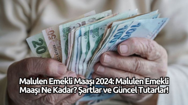 Malulen Emekli Maaşı 2024: Malulen Emekli Maaşı Ne Kadar? Şartlar ve Güncel Tutarlar!