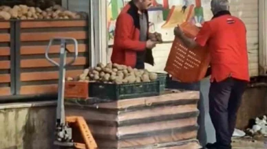 İstanbul'da Patatesler Çöpe Döküldü,  Vatandaş Tepkili