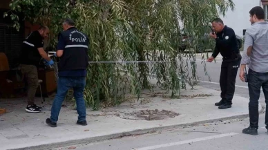 Edirne'de Köpek Saldırısı Sonrası Kanlı Olay!
