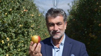 Karaman'da Çift Renkli Elma Görenleri Hayrete Düşürüyor