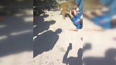 Adana’da Maymun,  Çocuğa Saldırdı: O Anlar Kamerada