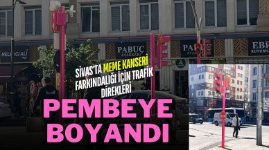 Sivas'ta Meme Kanseri Farkındalığı İçin Trafik Direkleri Pembeye Boyandı