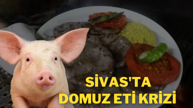 Sivas'ta Domuz Eti Krizi:İddialar Paniğe Neden Oldu