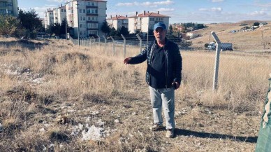 Ankara'da Başlarıboş Köpekler 35 Tavuğu Telef Etti
