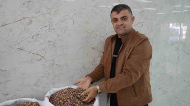Dubai Çikolatası Talebi,  Antep Fıstığı Fiyatlarını Yükseltti