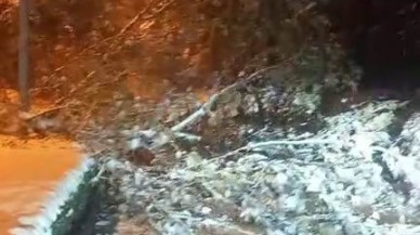 Elazığ’da Fırtına ve Kar Yağışı Ağaçları Devirdi