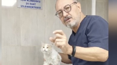 Osmaniye’de Tüfekle Vurulan Kediye Hayat Kurtaran Müdahale
