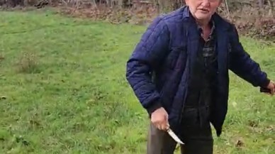 Sokak Köpeklerinin Yuvası Ateşe Verildi,  Bolu'da Vahşi Olay!