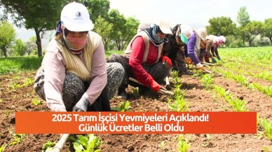2025 Tarım İşçisi Yevmiyeleri Açıklandı! Günlük Ücretler Belli Oldu