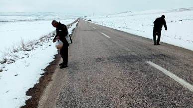 Çepni Belediyesi,  Olumsuz Hava Koşullarında Yabani ve Sokak Hayvanlarını Unutmadı!