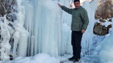 Ağaçtaki Buz Sarkıtları Görenleri Büyülüyor