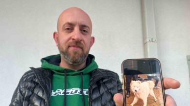 Köpeğini Bulana 50 Bin TL Ödül,  Dolandırıcılar Devrede