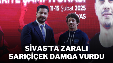Sivas’ta Zaralı Sarıçiçek Damga Vurdu