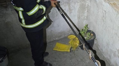 Eve Giren Yılanı İtfaiye Yakalayıp Doğaya Bıraktı