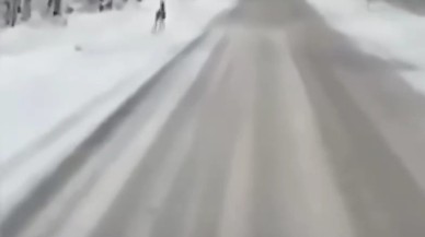 Karla Kaplı Yolda Koşan Karaca,  Kameraya Yansıdı