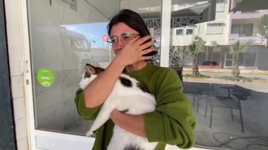 Kaybolan Kedi,  Esnafın Yardımıyla Kurtarıldı
