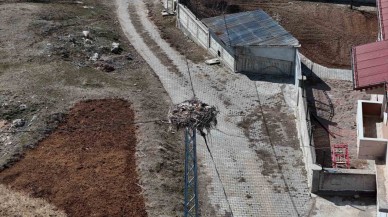 Sivas’ın Leylekli Köyünde Bahar Coşkusu Başlıyor