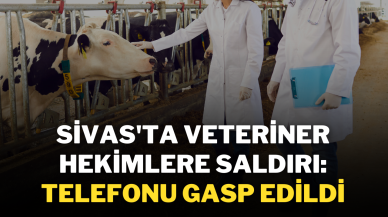 Sivas'ta Veteriner Hekimlere Saldırı: Telefonu Gasp Edildi