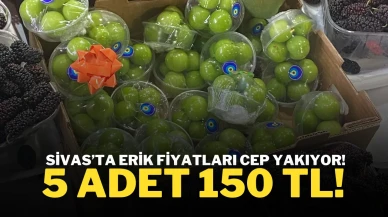 Sivas’ta Erik Fiyatları Cep Yakıyor! 5 Adet 150 TL!
