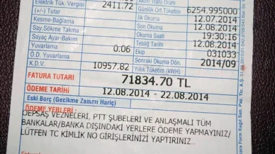 Faturanızda Devlet Desteği Ne Kadar? Yeni Uygulama ile Öğrenmek Çok Kolay