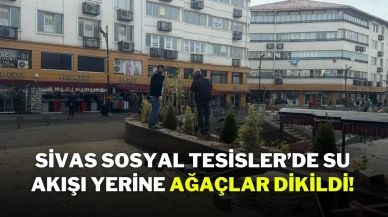 Sivas Sosyal Tesisler’de Su Akışı Yerine Ağaçlar Dikildi!