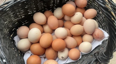 Yumurta Fiyatları Tırmanıyor: Piyasa Ne Olacak?