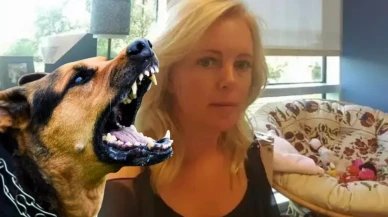 Büyük Skandal! 76 Yaşındaki Kadın, 24 Köpek Tarafından Öldürüldü!