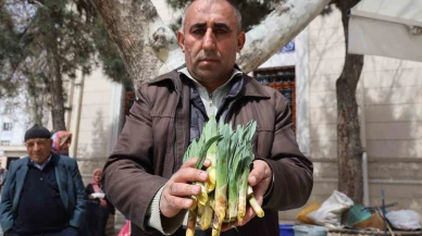 Çiriş Otu, Şifa Arayanların Yeni Gözdesi