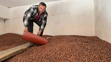 Fındıkta Fiyatlar Tavan Yaptı!