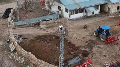 Sivas’taki ‘Leylekli Köy’ Baharı Müjdeledi