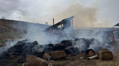 Sivas’ta Yangın Korkuya Sebep Oldu