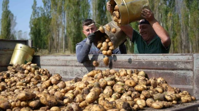 Tarımsal Girdi Fiyatları Tavan Yaptı! Yıllık Artış Yüzde 30’a Yaklaştı