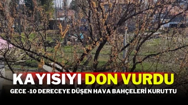 Kayısıyı Don Vurdu! Gece -10 Dereceye Düşen Hava Bahçeleri Kuruttu
