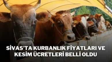 Sivas’ta Kurbanlık Fiyatları ve Kesim Ücretleri Belli Oldu