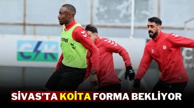 Sivas’ta Koita Forma Bekliyor