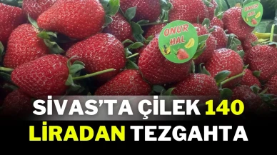Sivas’ta Çilek 140 Liradan Tezgahta