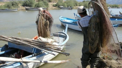 Yılan Balıklarının Geleceği İçin İş Birliği