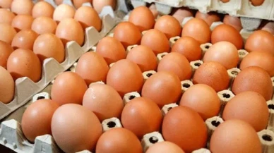 Yumurtalar Raftan Kalkıyor! Sodyum Hipoklorit Tehlikesi! İşte Detaylar