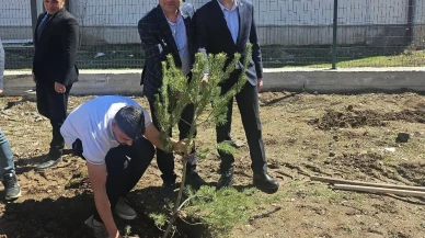 İmranlı MYO Öğrencilerinden Fidan Dikimi Etkinliği