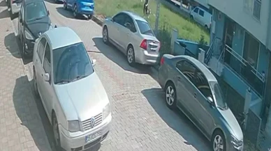 Sınav Yolunda Köpek Dehşeti