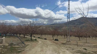 Sivas’ta Kayısı Üreticileri, Zirai Don Riski Nedeniyle Nöbet Tutuyor