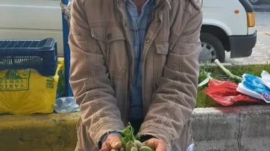 Baharın Habercisi Çağla Tezgahlarda