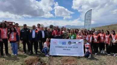 Divriği’de Gençlerden Yeşil Bir Gelecek İçin Fidan Dikimi