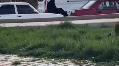 Elazığ'da Tehlikeli Taşıma: İnsan Halat Oldu