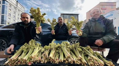 Yayla Muzu 100 TL’den Tezgâhta