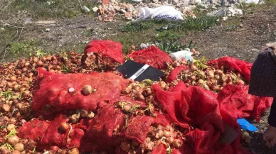 Yol Kenarına Dökülen Çuvallar Dolusu Soğan Tepki Çekti