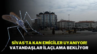 Sivas'ta Kan Emiciler Uyanıyor! Vatandaşlar İlaçlama Bekliyor