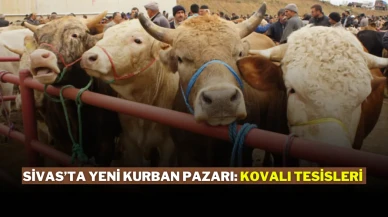 Sivas’ta Yeni Kurban Pazarı: Kovalı Tesisleri