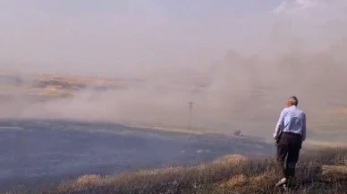 60 Dönüm Buğday Yangında Küle Döndü