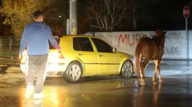 Başıboş atı vatandaşlar yakaladı